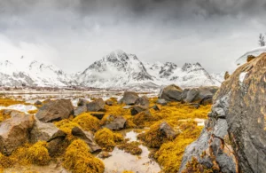 Lofoten im Winter - Photography